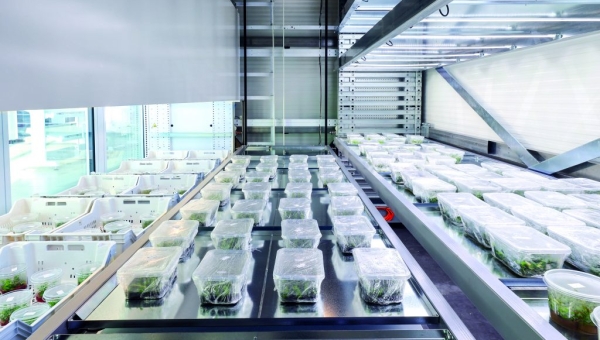Modula vertikální farma Biotech Tower